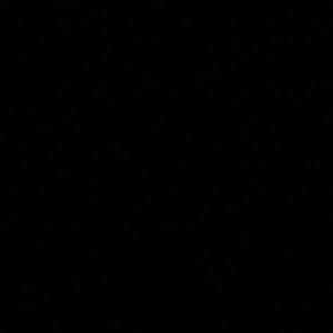 Meet your Posher, Max